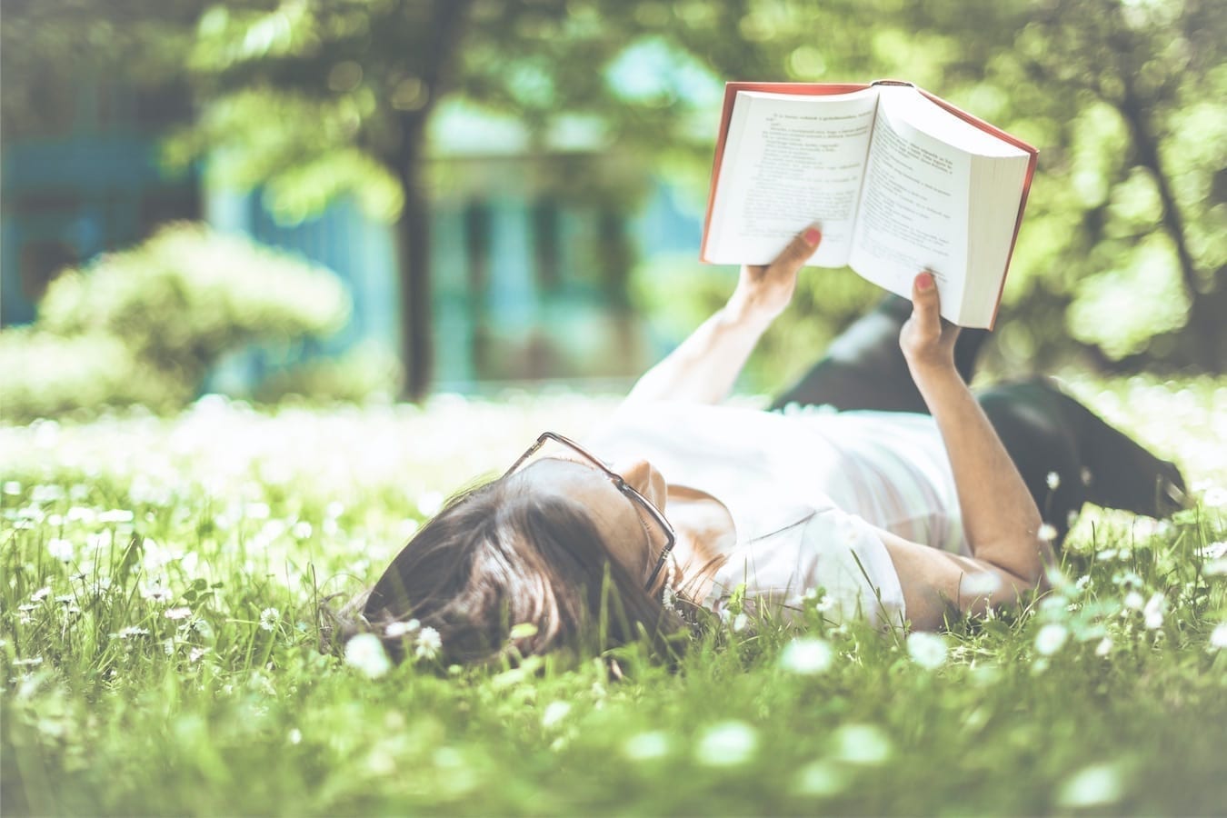 Get the reading summaries… and so much more! 